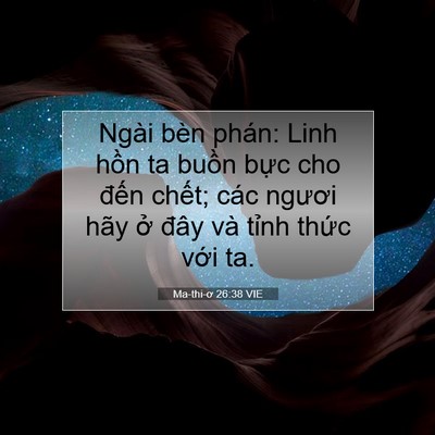 Picture 07 - Ma-thi-ơ 26:38 VIE - Ngài bèn phán: Linh hồn ta buồn bực cho - Bible Verse Picture