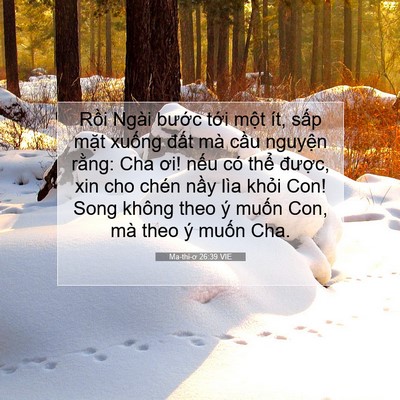Picture 07 - Ma-thi-ơ 26:39 VIE - Rồi Ngài bước tới một ít, sấp mặt - Bible Verse Picture
