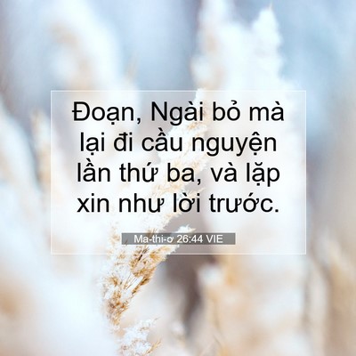 Picture 07 - Ma-thi-ơ 26:44 VIE - Đoạn, Ngài bỏ mà lại đi cầu nguyện - Bible Verse Picture