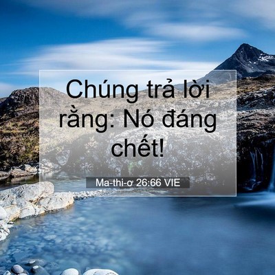 Picture 07 - Ma-thi-ơ 26:66 VIE - Chúng trả lời rằng: Nó đáng - Bible Verse Picture