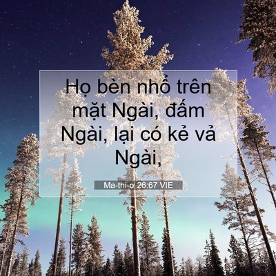 Picture 07 - Ma-thi-ơ 26:67 VIE - Họ bèn nhổ trên mặt Ngài, đấm Ngài, - Bible Verse Picture