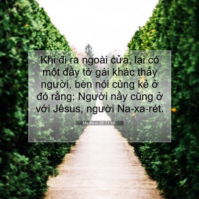 Picture 07 - Ma-thi-ơ 26:71 VIE - Khi đi ra ngoài cửa, lại có một đầy - Bible Verse Picture