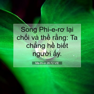 Picture 07 - Ma-thi-ơ 26:72 VIE - Song Phi-e-rơ lại chối và thề rằng: Ta - Bible Verse Picture