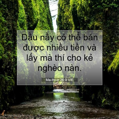 Picture 07 - Ma-thi-ơ 26:9 VIE - Dầu nầy có thể bán được nhiều - Bible Verse Picture