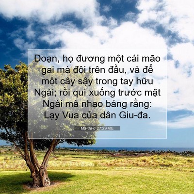 Picture 07 - Ma-thi-ơ 27:29 VIE - Đoạn, họ đương một cái mão gai mà - Bible Verse Picture