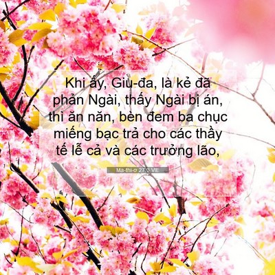 Picture 07 - Ma-thi-ơ 27:3 VIE - Khi ấy, Giu-đa, là kẻ đã phản Ngài, - Bible Verse Picture