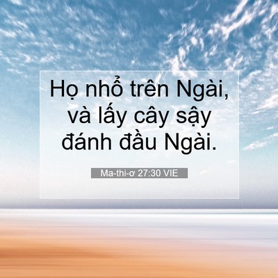 Picture 07 - Ma-thi-ơ 27:30 VIE - Họ nhổ trên Ngài, và lấy cây sậy - Bible Verse Picture