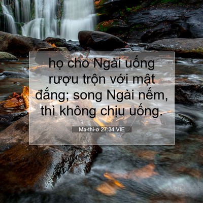 Picture 07 - Ma-thi-ơ 27:34 VIE - họ cho Ngài uống rượu trộn với mật - Bible Verse Picture