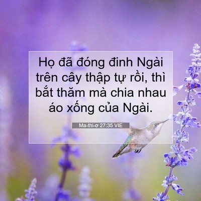 Picture 07 - Ma-thi-ơ 27:35 VIE - Họ đã đóng đinh Ngài trên cây thập - Bible Verse Picture