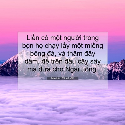 Picture 07 - Ma-thi-ơ 27:48 VIE - Liền có một người trong bọn họ chạy - Bible Verse Picture