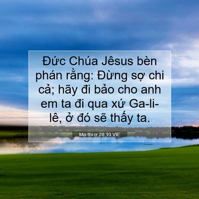 Picture 07 - Ma-thi-ơ 28:10 VIE - Đức Chúa Jêsus bèn phán rằng: Đừng - Bible Verse Picture