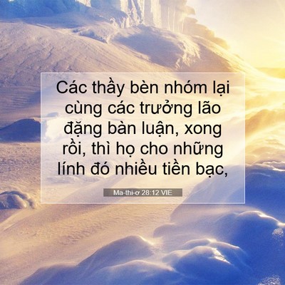 Picture 07 - Ma-thi-ơ 28:12 VIE - Các thầy bèn nhóm lại cùng các trưởng - Bible Verse Picture