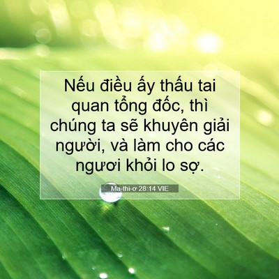 Picture 07 - Ma-thi-ơ 28:14 VIE - Nếu điều ấy thấu tai quan tổng đốc, - Bible Verse Picture