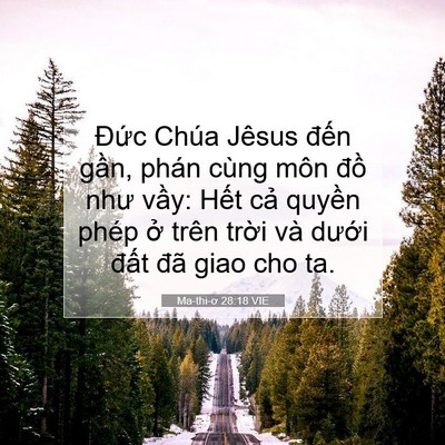 Picture 07 - Ma-thi-ơ 28:18 VIE - Đức Chúa Jêsus đến gần, phán cùng - Bible Verse Picture
