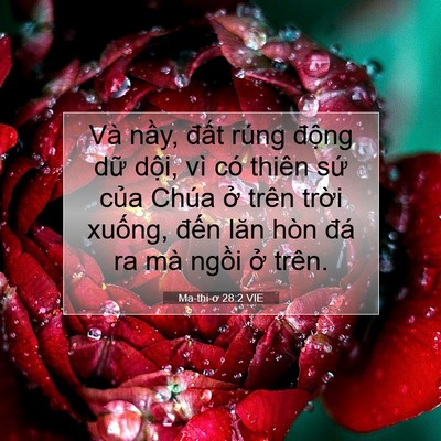 Picture 07 - Ma-thi-ơ 28:2 VIE - Và nầy, đất rúng động dữ dội, vì - Bible Verse Picture