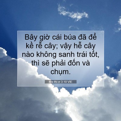 Picture 07 - Ma-thi-ơ 3:10 VIE - Bây giờ cái búa đã để kề rễ cây; - Bible Verse Picture