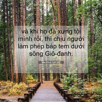 Picture 07 - Ma-thi-ơ 3:6 VIE - và khi họ đã xưng tội mình rồi, thì - Bible Verse Picture