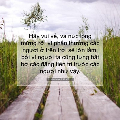 Picture 07 - Ma-thi-ơ 5:12 VIE - Hãy vui vẻ, và nức lòng mừng rỡ, vì - Bible Verse Picture