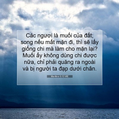 Picture 07 - Ma-thi-ơ 5:13 VIE - Các ngươi là muối của đất; song nếu - Bible Verse Picture