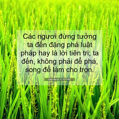 Picture 07 - Ma-thi-ơ 5:17 VIE - Các ngươi đừng tưởng ta đến đặng - Bible Verse Picture