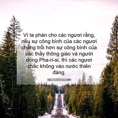 Picture 07 - Ma-thi-ơ 5:20 VIE - Vì ta phán cho các ngươi rằng, nếu sự - Bible Verse Picture