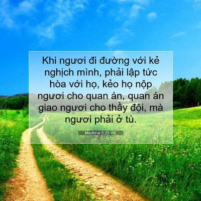 Picture 07 - Ma-thi-ơ 5:25 VIE - Khi ngươi đi đường với kẻ nghịch - Bible Verse Picture