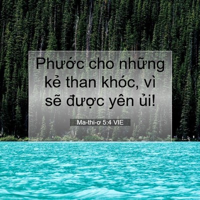 Picture 07 - Ma-thi-ơ 5:4 VIE - Phước cho những kẻ than khóc, vì sẽ - Bible Verse Picture