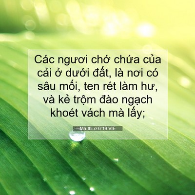 Picture 07 - Ma-thi-ơ 6:19 VIE - Các ngươi chớ chứa của cải ở dưới - Bible Verse Picture