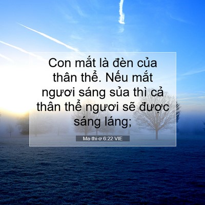 Picture 07 - Ma-thi-ơ 6:22 VIE - Con mắt là đèn của thân thể. Nếu - Bible Verse Picture
