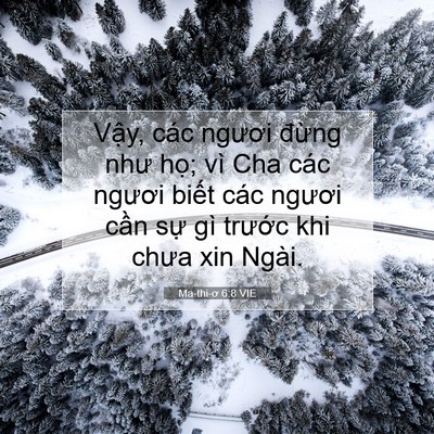 Picture 07 - Ma-thi-ơ 6:8 VIE - Vậy, các ngươi đừng như họ; vì Cha - Bible Verse Picture