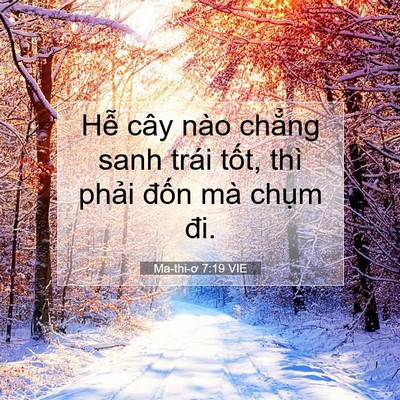 Picture 07 - Ma-thi-ơ 7:19 VIE - Hễ cây nào chẳng sanh trái tốt, thì - Bible Verse Picture