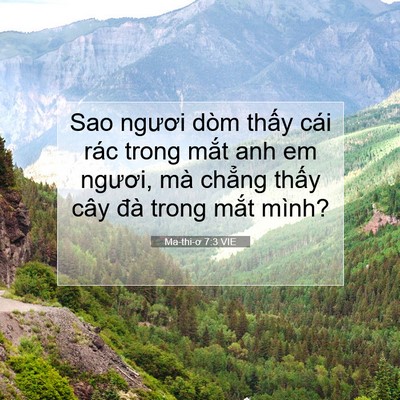 Picture 07 - Ma-thi-ơ 7:3 VIE - Sao ngươi dòm thấy cái rác trong mắt anh - Bible Verse Picture