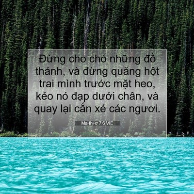 Picture 07 - Ma-thi-ơ 7:6 VIE - Đừng cho chó những đồ thánh, và - Bible Verse Picture