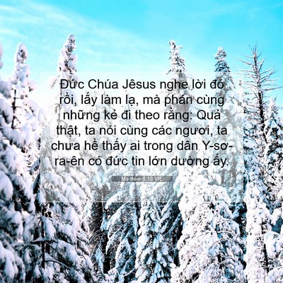 Picture 07 - Ma-thi-ơ 8:10 VIE - Đức Chúa Jêsus nghe lời đó rồi, lấy - Bible Verse Picture