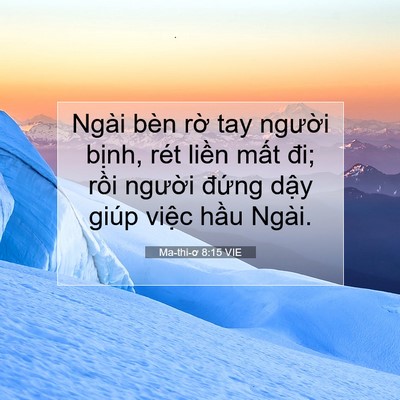 Picture 07 - Ma-thi-ơ 8:15 VIE - Ngài bèn rờ tay người bịnh, rét liền - Bible Verse Picture