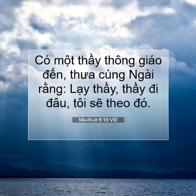 Picture 07 - Ma-thi-ơ 8:19 VIE - Có một thầy thông giáo đến, thưa cùng - Bible Verse Picture