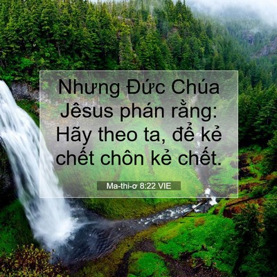 Picture 07 - Ma-thi-ơ 8:22 VIE - Nhưng Đức Chúa Jêsus phán rằng: Hãy - Bible Verse Picture