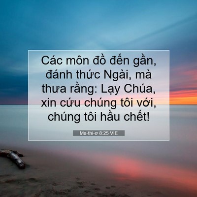 Picture 07 - Ma-thi-ơ 8:25 VIE - Các môn đồ đến gần, đánh thức - Bible Verse Picture