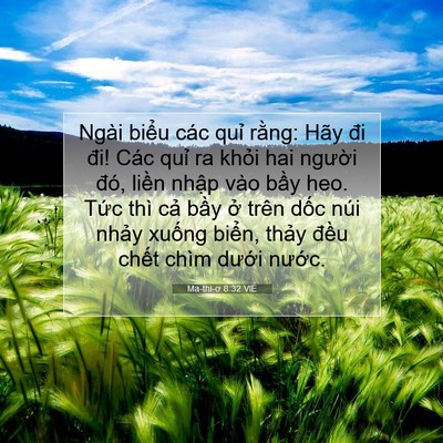 Picture 07 - Ma-thi-ơ 8:32 VIE - Ngài biểu các quỉ rằng: Hãy đi đi! - Bible Verse Picture