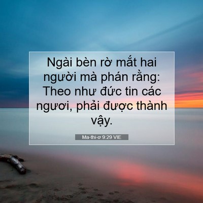Picture 07 - Ma-thi-ơ 9:29 VIE - Ngài bèn rờ mắt hai người mà phán - Bible Verse Picture