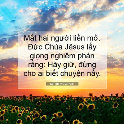 Picture 07 - Ma-thi-ơ 9:30 VIE - Mắt hai người liền mở. Đức Chúa - Bible Verse Picture