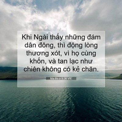 Picture 07 - Ma-thi-ơ 9:36 VIE - Khi Ngài thấy những đám dân đông, thì - Bible Verse Picture