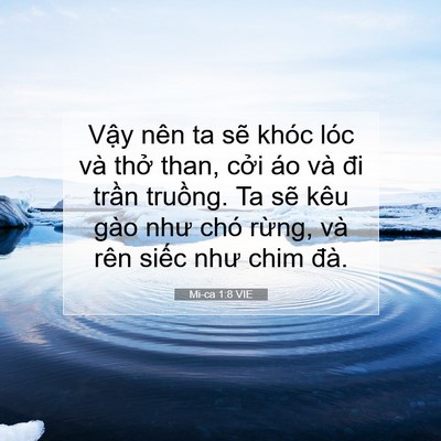 Picture 07 - Mi-ca 1:8 VIE - Vậy nên ta sẽ khóc lóc và thở than, - Bible Verse Picture