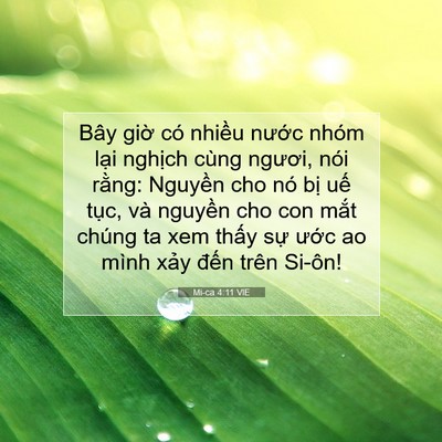 Picture 07 - Mi-ca 4:11 VIE - Bây giờ có nhiều nước nhóm lại - Bible Verse Picture