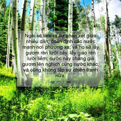 Picture 07 - Mi-ca 4:3 VIE - Ngài sẽ làm ra sự phán xét giữa nhiều - Bible Verse Picture