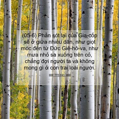 Picture 07 - Mi-ca 5:7 VIE - (05-6) Phần sót lại của Gia-cốp sẽ ở - Bible Verse Picture