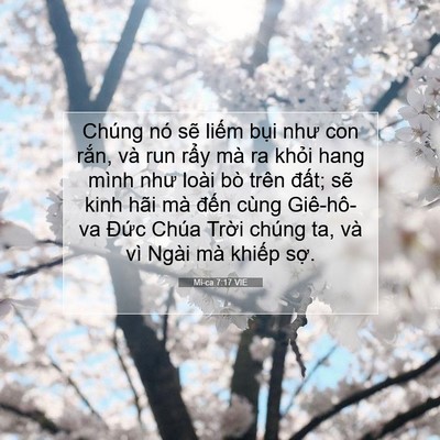 Picture 07 - Mi-ca 7:17 VIE - Chúng nó sẽ liếm bụi như con rắn, và - Bible Verse Picture