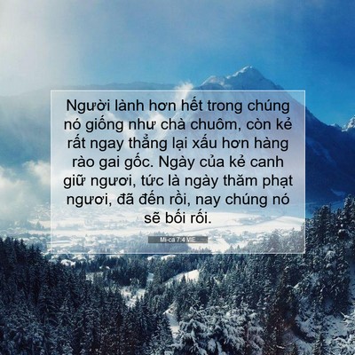 Picture 07 - Mi-ca 7:4 VIE - Người lành hơn hết trong chúng nó - Bible Verse Picture