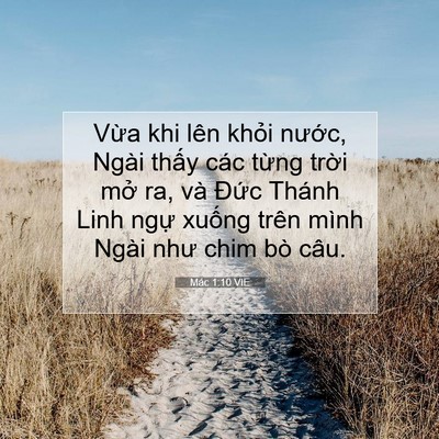 Picture 07 - Mác 1:10 VIE - Vừa khi lên khỏi nước, Ngài thấy các - Bible Verse Picture