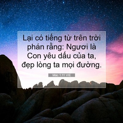 Picture 07 - Mác 1:11 VIE - Lại có tiếng từ trên trời phán rằng: - Bible Verse Picture